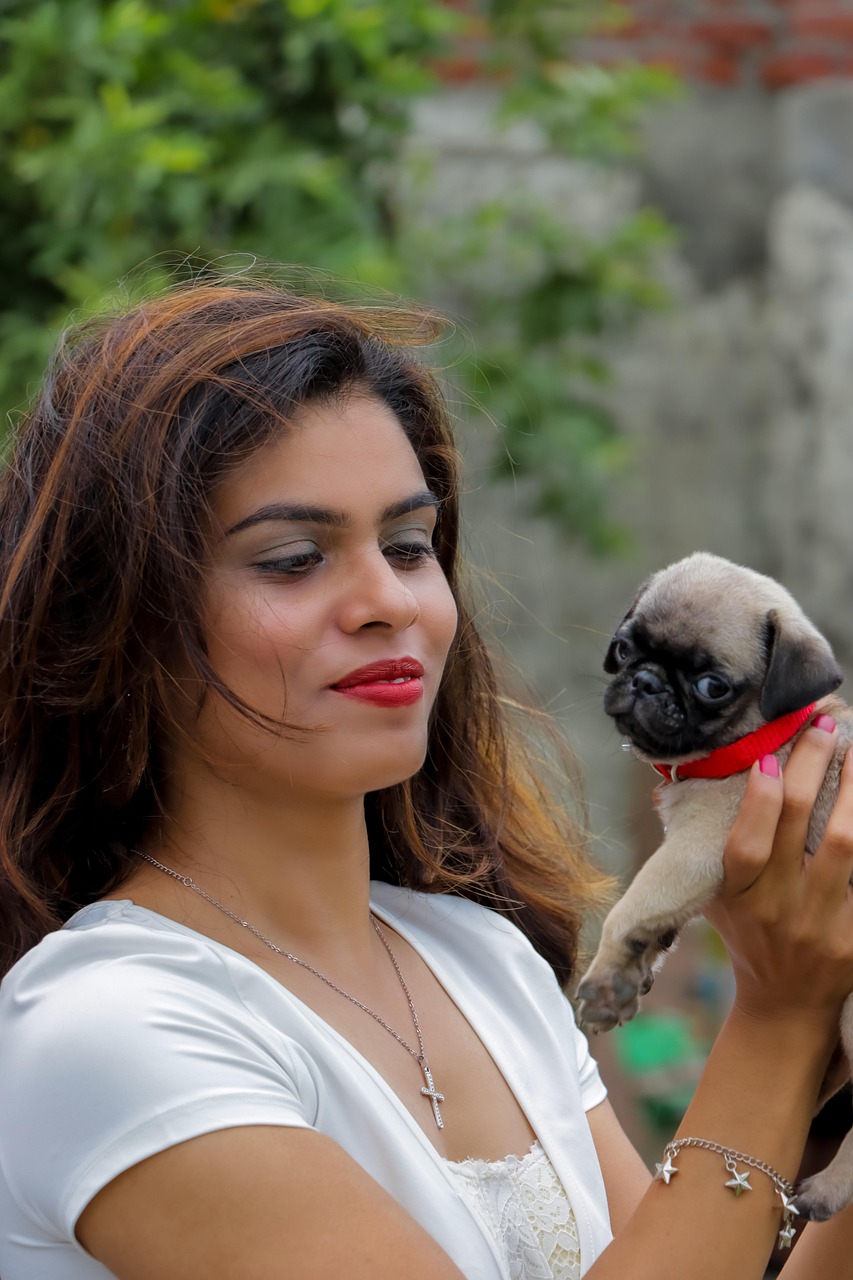 woman, pug, animal, pet, puppy, friends, dog