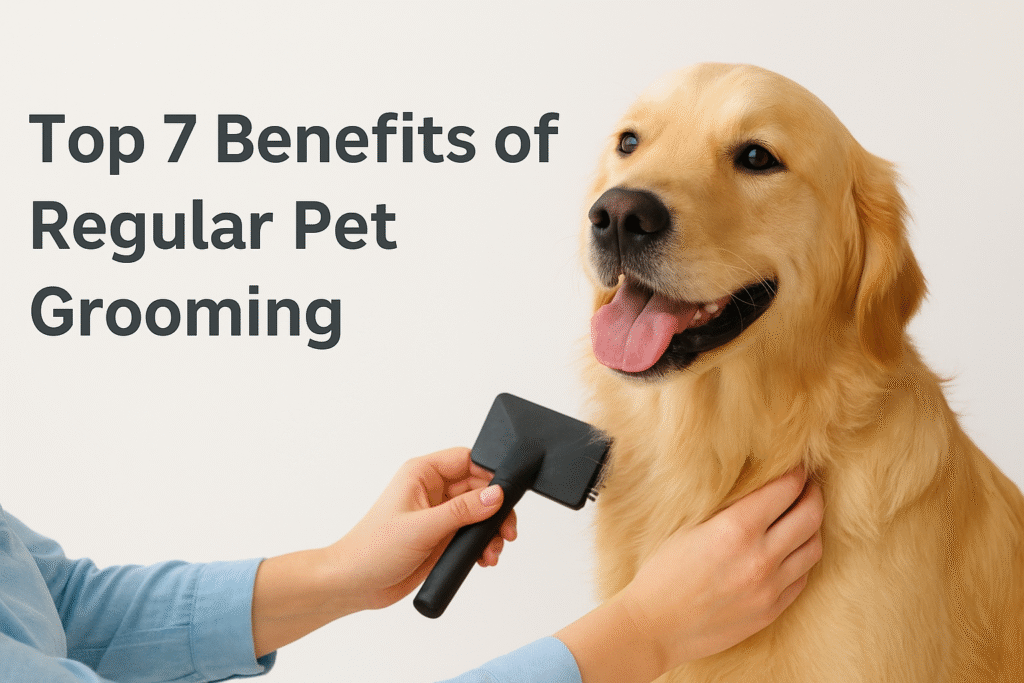 🐾 Top 7 Benefits of Regular Pet Grooming benefits of pet grooming