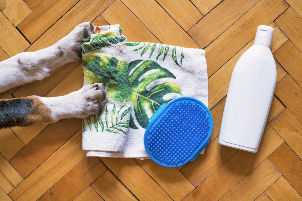 How to Choose the Right Grooming Products for Your Pet Flat lay of pet grooming essentials with dog paws, shampoo, towel, and brush on wooden floor.